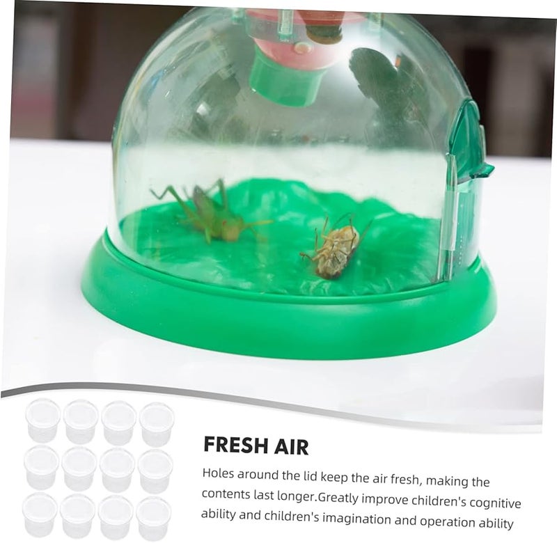 Vaguelly 12 Pcs Portable Insect Observation Boxes for Outdoor Exploration Bug Catcher Kit - Image 2